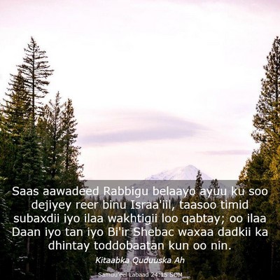 Picture 03 - Samuu'eel Labaad 24:15 SOM - Saas aawadeed Rabbigu belaayo ayuu ku soo dejiyey - Bible Verse Picture