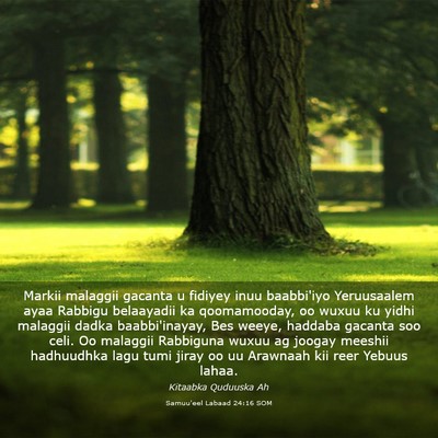 Picture 03 - Samuu'eel Labaad 24:16 SOM - Markii malaggii gacanta u fidiyey inuu baabbi'iyo - Bible Verse Picture