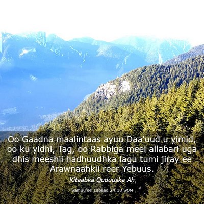 Picture 03 - Samuu'eel Labaad 24:18 SOM - Oo Gaadna maalintaas ayuu Daa'uud u yimid, oo ku - Bible Verse Picture