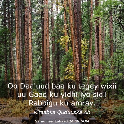 Picture 03 - Samuu'eel Labaad 24:19 SOM - Oo Daa'uud baa ku tegey wixii uu Gaad ku yidhi - Bible Verse Picture