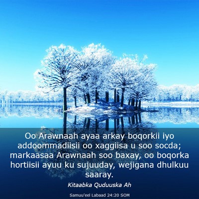Picture 03 - Samuu'eel Labaad 24:20 SOM - Oo Arawnaah ayaa arkay boqorkii iyo - Bible Verse Picture