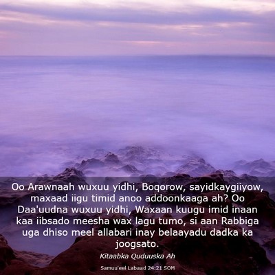 Picture 03 - Samuu'eel Labaad 24:21 SOM - Oo Arawnaah wuxuu yidhi, Boqorow, sayidkaygiiyow, - Bible Verse Picture