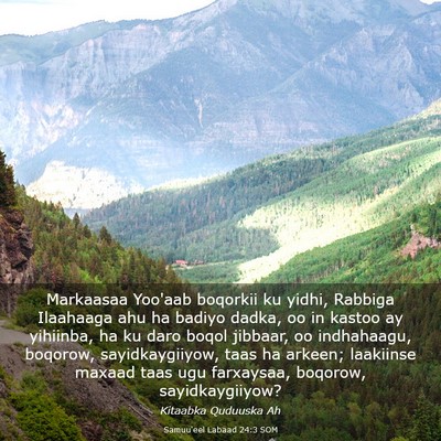 Picture 03 - Samuu'eel Labaad 24:3 SOM - Markaasaa Yoo'aab boqorkii ku yidhi, Rabbiga - Bible Verse Picture