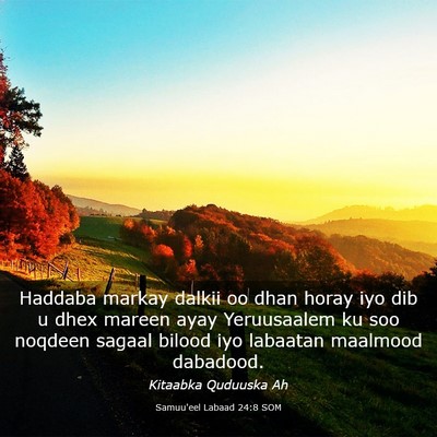 Picture 03 - Samuu'eel Labaad 24:8 SOM - Haddaba markay dalkii oo dhan horay iyo dib u - Bible Verse Picture