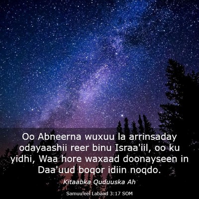 Picture 03 - Samuu'eel Labaad 3:17 SOM - Oo Abneerna wuxuu la arrinsaday odayaashii reer - Bible Verse Picture