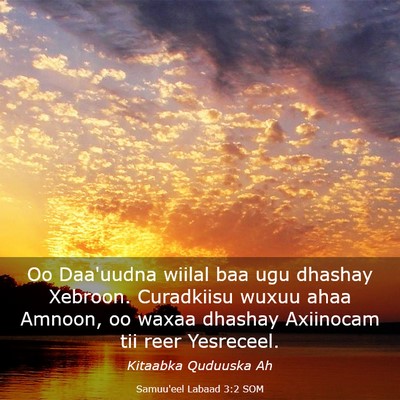 Picture 03 - Samuu'eel Labaad 3:2 SOM - Oo Daa'uudna wiilal baa ugu dhashay Xebroon. - Bible Verse Picture