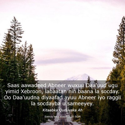 Picture 03 - Samuu'eel Labaad 3:20 SOM - Saas aawadeed Abneer wuxuu Daa'uud ugu yimid - Bible Verse Picture