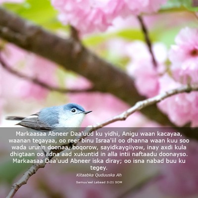 Picture 03 - Samuu'eel Labaad 3:21 SOM - Markaasaa Abneer Daa'uud ku yidhi, Anigu waan - Bible Verse Picture