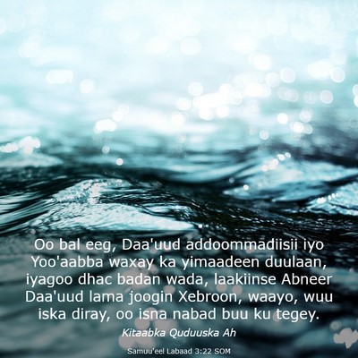 Picture 03 - Samuu'eel Labaad 3:22 SOM - Oo bal eeg, Daa'uud addoommadiisii iyo Yoo'aabba - Bible Verse Picture