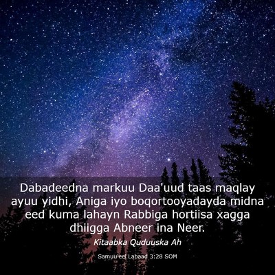 Picture 03 - Samuu'eel Labaad 3:28 SOM - Dabadeedna markuu Daa'uud taas maqlay ayuu yidhi, - Bible Verse Picture