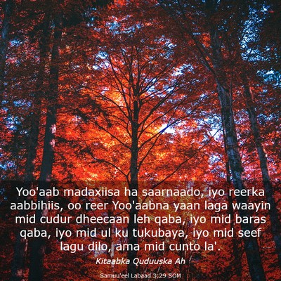 Picture 03 - Samuu'eel Labaad 3:29 SOM - Yoo'aab madaxiisa ha saarnaado, iyo reerka - Bible Verse Picture