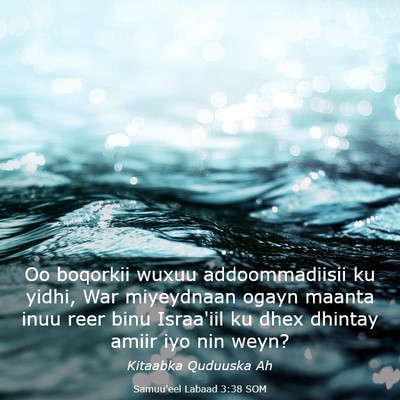 Picture 03 - Samuu'eel Labaad 3:38 SOM - Oo boqorkii wuxuu addoommadiisii ku yidhi, War - Bible Verse Picture