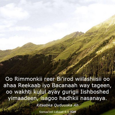 Picture 03 - Samuu'eel Labaad 4:5 SOM - Oo Rimmonkii reer Bi'irod wiilashiisii oo ahaa - Bible Verse Picture