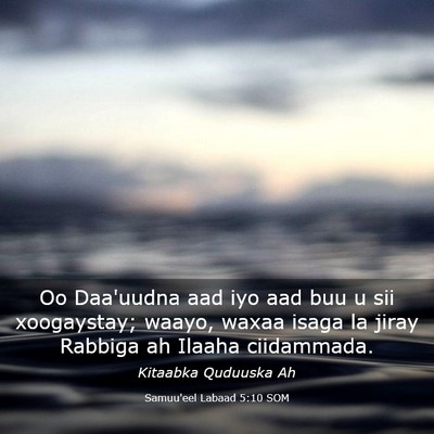 Picture 03 - Samuu'eel Labaad 5:10 SOM - Oo Daa'uudna aad iyo aad buu u sii xoogaystay; - Bible Verse Picture