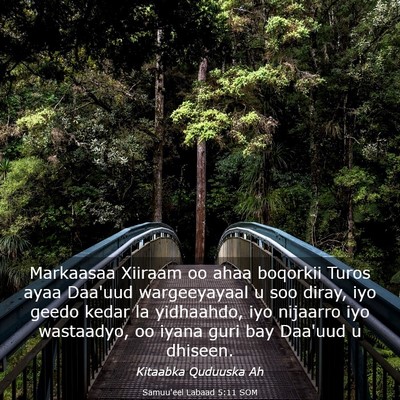 Picture 03 - Samuu'eel Labaad 5:11 SOM - Markaasaa Xiiraam oo ahaa boqorkii Turos ayaa - Bible Verse Picture
