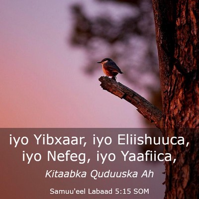 Picture 03 - Samuu'eel Labaad 5:15 SOM - iyo Yibxaar, iyo Eliishuuca, iyo Nefeg, iyo - Bible Verse Picture