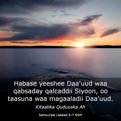 Picture 03 - Samuu'eel Labaad 5:7 SOM - Habase yeeshee Daa'uud waa qabsaday qalcaddii - Bible Verse Picture