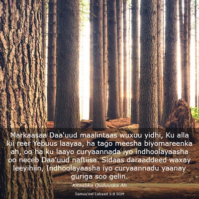 Picture 03 - Samuu'eel Labaad 5:8 SOM - Markaasaa Daa'uud maalintaas wuxuu yidhi, Ku alla - Bible Verse Picture