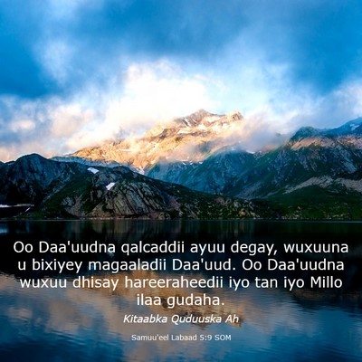 Picture 03 - Samuu'eel Labaad 5:9 SOM - Oo Daa'uudna qalcaddii ayuu degay, wuxuuna u - Bible Verse Picture