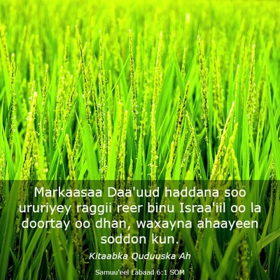Picture 03 - Samuu'eel Labaad 6:1 SOM - Markaasaa Daa'uud haddana soo ururiyey raggii - Bible Verse Picture