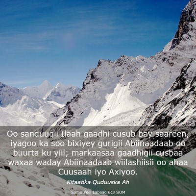Picture 03 - Samuu'eel Labaad 6:3 SOM - Oo sanduuqii Ilaah gaadhi cusub bay saareen, - Bible Verse Picture