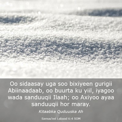 Picture 03 - Samuu'eel Labaad 6:4 SOM - Oo sidaasay uga soo bixiyeen gurigii Abiinaadaab, - Bible Verse Picture