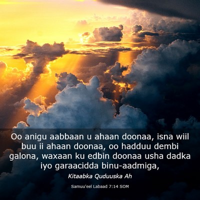 Picture 03 - Samuu'eel Labaad 7:14 SOM - Oo anigu aabbaan u ahaan doonaa, isna wiil buu ii - Bible Verse Picture