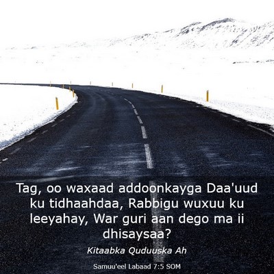 Picture 03 - Samuu'eel Labaad 7:5 SOM - Tag, oo waxaad addoonkayga Daa'uud ku tidhaahdaa, - Bible Verse Picture