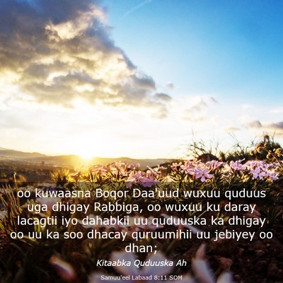 Picture 03 - Samuu'eel Labaad 8:11 SOM - oo kuwaasna Boqor Daa'uud wuxuu quduus uga dhigay - Bible Verse Picture