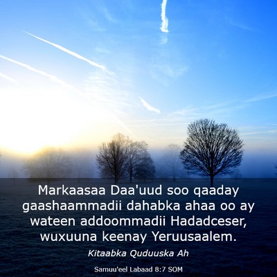 Picture 03 - Samuu'eel Labaad 8:7 SOM - Markaasaa Daa'uud soo qaaday gaashaammadii - Bible Verse Picture