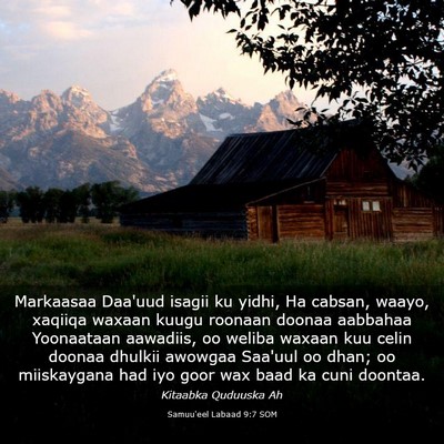 Picture 03 - Samuu'eel Labaad 9:7 SOM - Markaasaa Daa'uud isagii ku yidhi, Ha cabsan, - Bible Verse Picture
