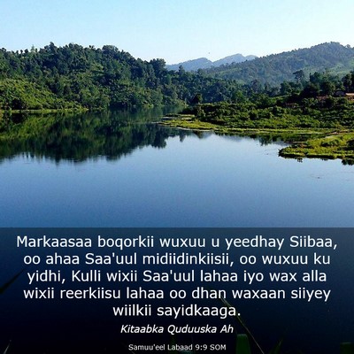 Picture 03 - Samuu'eel Labaad 9:9 SOM - Markaasaa boqorkii wuxuu u yeedhay Siibaa, oo - Bible Verse Picture