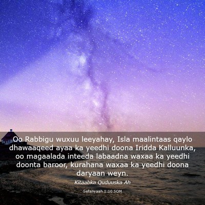 Picture 03 - Sefanyaah 1:10 SOM - Oo Rabbigu wuxuu leeyahay, Isla maalintaas qaylo - Bible Verse Picture