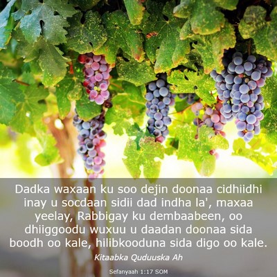 Picture 03 - Sefanyaah 1:17 SOM - Dadka waxaan ku soo dejin doonaa cidhiidhi inay u - Bible Verse Picture
