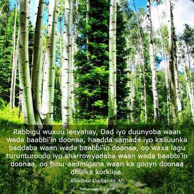 Picture 03 - Sefanyaah 1:3 SOM - Rabbigu wuxuu leeyahay, Dad iyo duunyoba waan - Bible Verse Picture