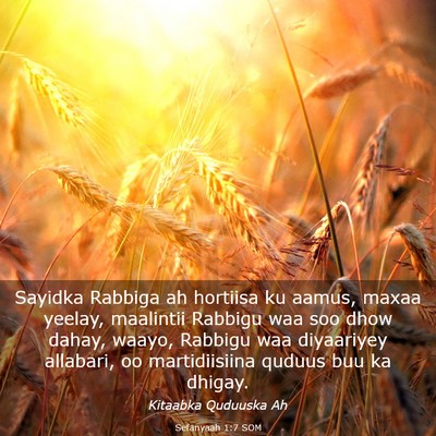 Picture 03 - Sefanyaah 1:7 SOM - Sayidka Rabbiga ah hortiisa ku aamus, maxaa - Bible Verse Picture