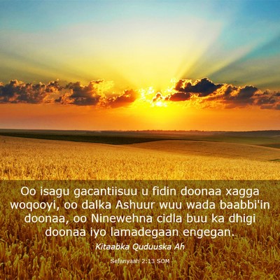 Picture 03 - Sefanyaah 2:13 SOM - Oo isagu gacantiisuu u fidin doonaa xagga - Bible Verse Picture