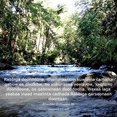 Picture 03 - Sefanyaah 2:3 SOM - Rabbiga doondoona, dhammaantiin kuwiinna camalka - Bible Verse Picture