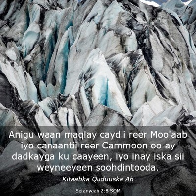 Picture 03 - Sefanyaah 2:8 SOM - Anigu waan maqlay caydii reer Moo'aab iyo - Bible Verse Picture
