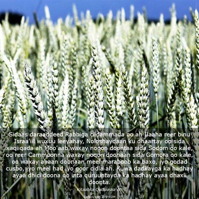Picture 03 - Sefanyaah 2:9 SOM - Sidaas daraaddeed Rabbiga ciidammada oo ah Ilaaha - Bible Verse Picture