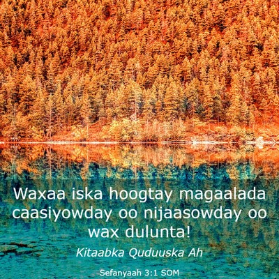 Picture 03 - Sefanyaah 3:1 SOM - Waxaa iska hoogtay magaalada caasiyowday oo - Bible Verse Picture