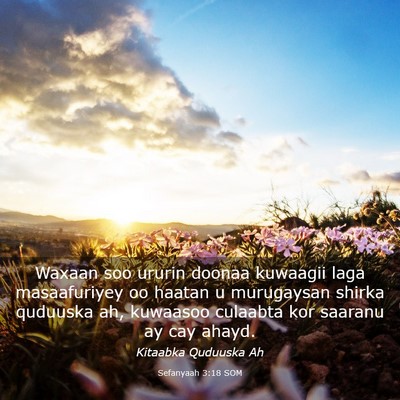 Picture 03 - Sefanyaah 3:18 SOM - Waxaan soo ururin doonaa kuwaagii laga - Bible Verse Picture