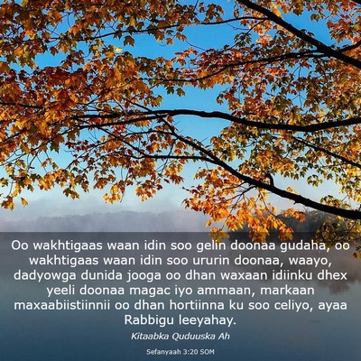 Picture 03 - Sefanyaah 3:20 SOM - Oo wakhtigaas waan idin soo gelin doonaa gudaha, - Bible Verse Picture