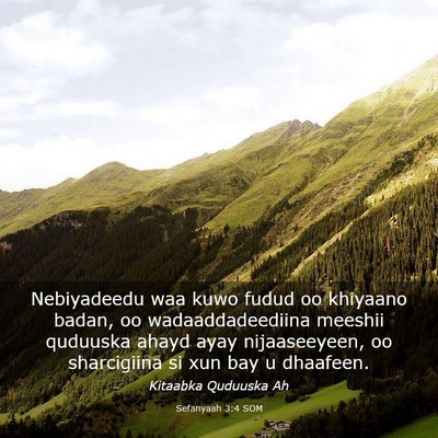 Picture 03 - Sefanyaah 3:4 SOM - Nebiyadeedu waa kuwo fudud oo khiyaano badan, oo - Bible Verse Picture