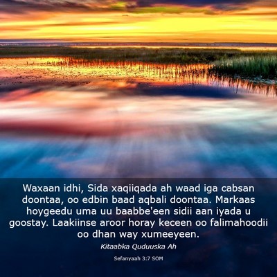 Picture 03 - Sefanyaah 3:7 SOM - Waxaan idhi, Sida xaqiiqada ah waad iga cabsan - Bible Verse Picture