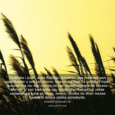 Picture 03 - Sefanyaah 3:8 SOM - Haddaba i suga, ayaa Rabbigu leeyahay, ilaa - Bible Verse Picture