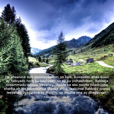 Picture 03 - Sekaryaah 1:4 SOM - Ha ahaanina sidii awowayaashiin oo kale, kuwaasoo - Bible Verse Picture