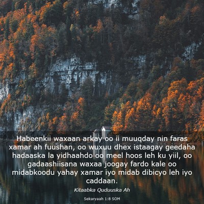 Picture 03 - Sekaryaah 1:8 SOM - Habeenkii waxaan arkay oo ii muuqday nin faras - Bible Verse Picture