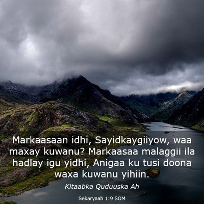 Picture 03 - Sekaryaah 1:9 SOM - Markaasaan idhi, Sayidkaygiiyow, waa maxay - Bible Verse Picture