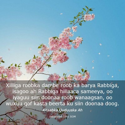 Picture 03 - Sekaryaah 10:1 SOM - Xilliga roobka dambe roob ka barya Rabbiga, - Bible Verse Picture